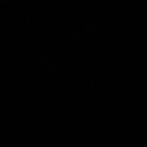 Meet your Posher, Meredith